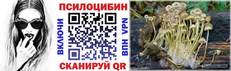 Псилоцибиновые грибы Magic Shrooms Гусев